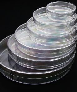 Petri Dish